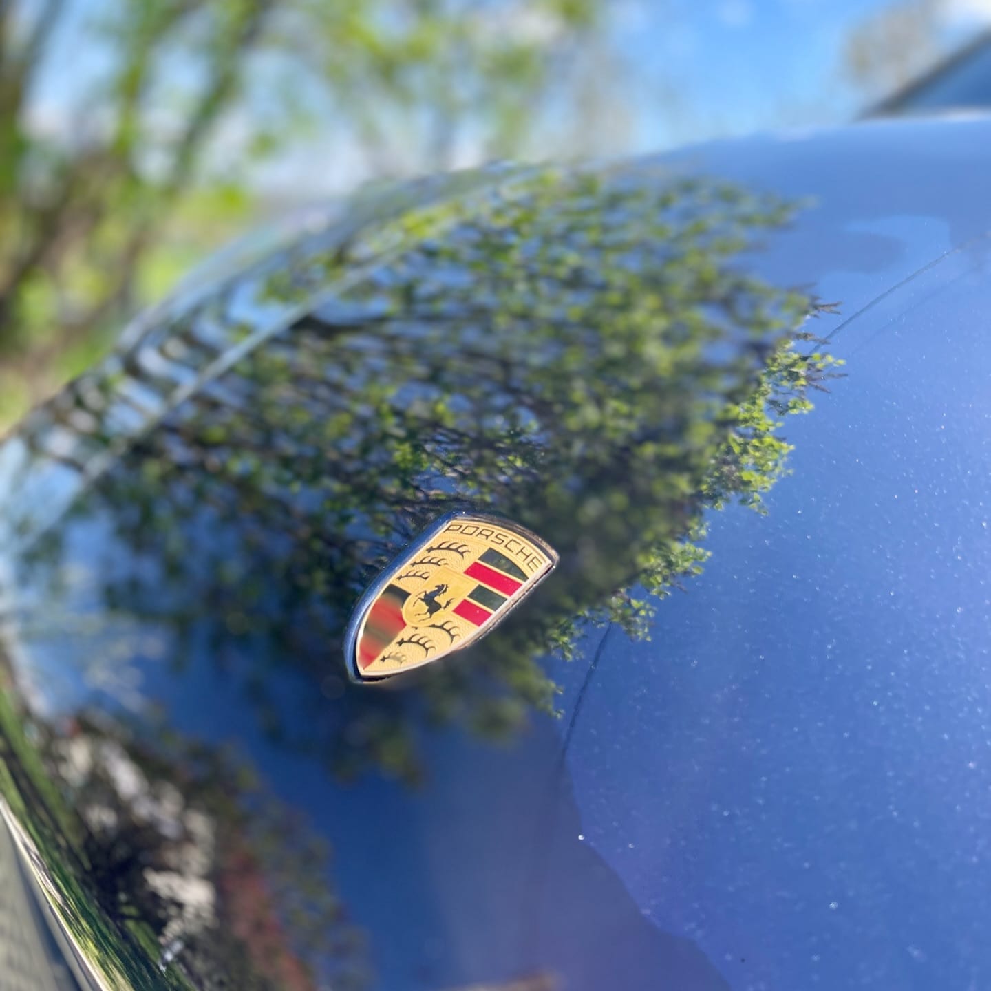 Herb Porsche na masce z odbiciem drzew w powłoce